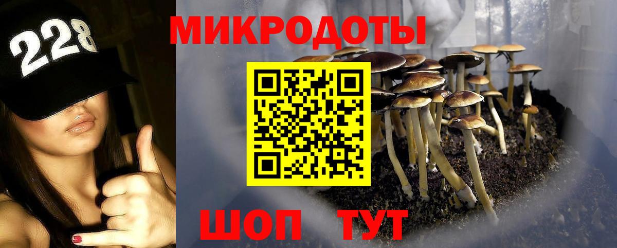 Галлюциногенные грибы Psilocybe  Псилоцибиновые грибы GOLDEN TEACHER  Ртищево  продажа наркотиков  Вход с VPN 